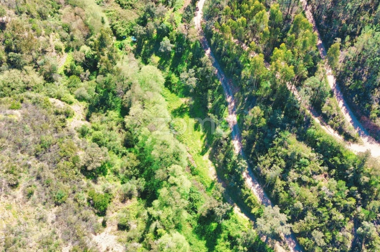 Terreno para Venda em Monchique Foto 27