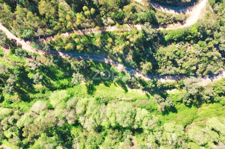 Terreno para Venda em Monchique Foto 29