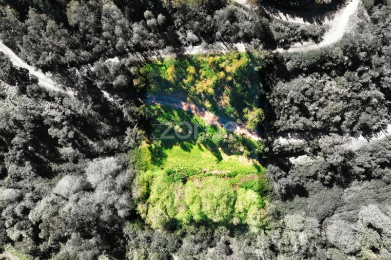 Terreno para Venda em Monchique Foto 5