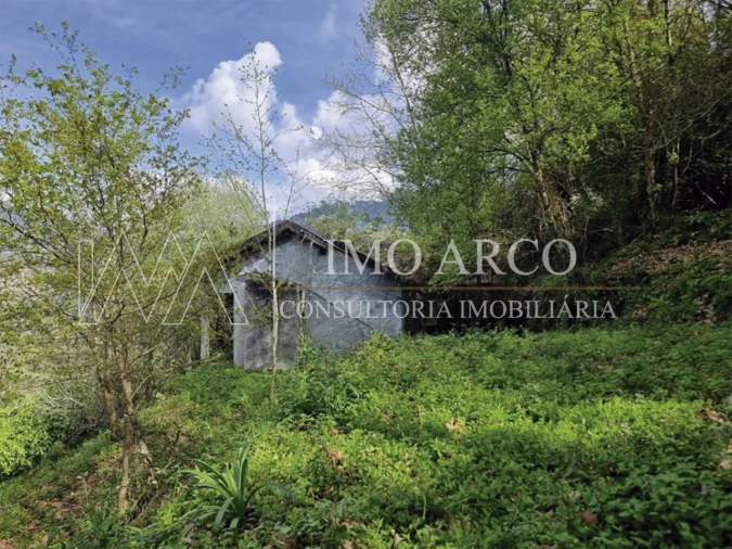 Moradia T2 para Venda em Parada do Bouro Foto 11