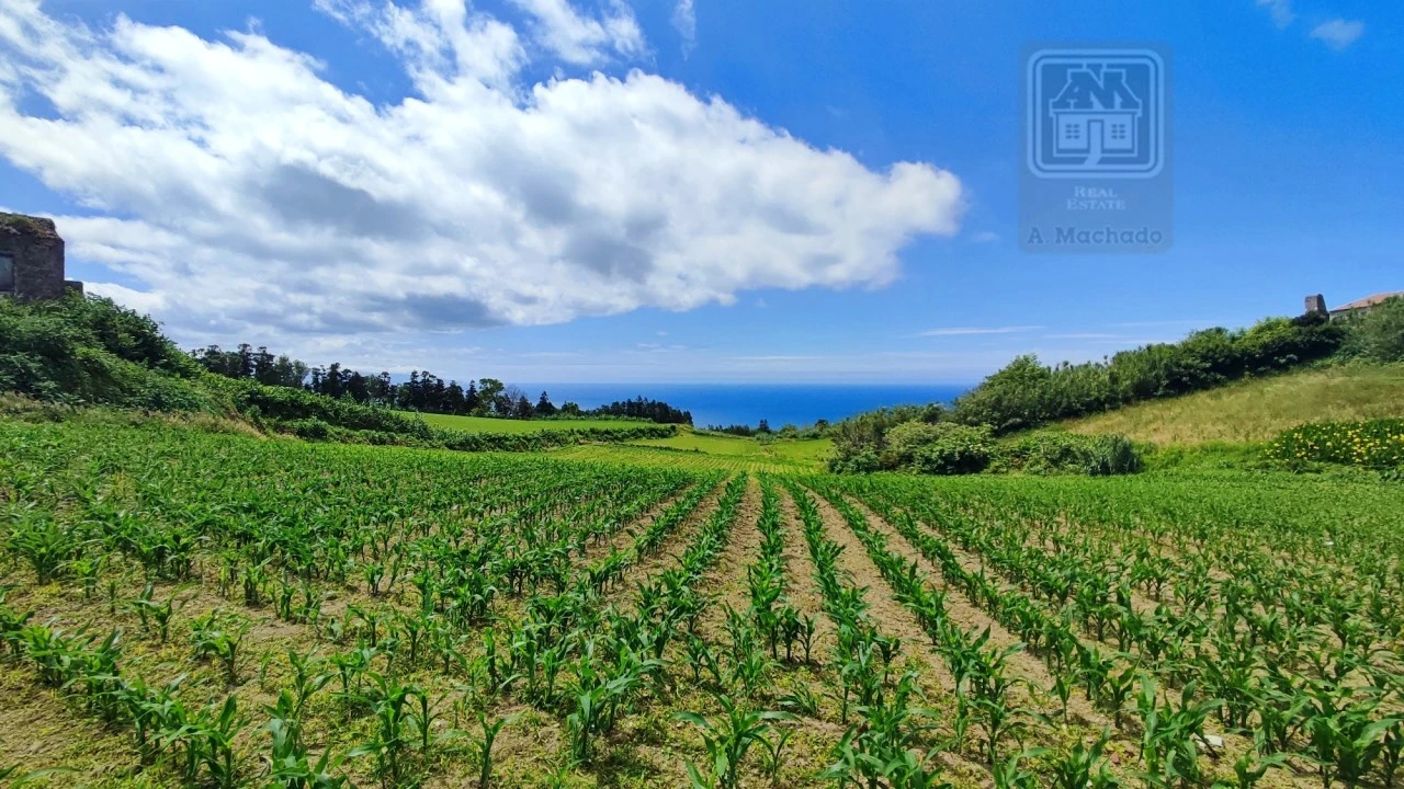Terreno Agricola ou Rústico para Venda em Fenais da Ajuda Foto 1