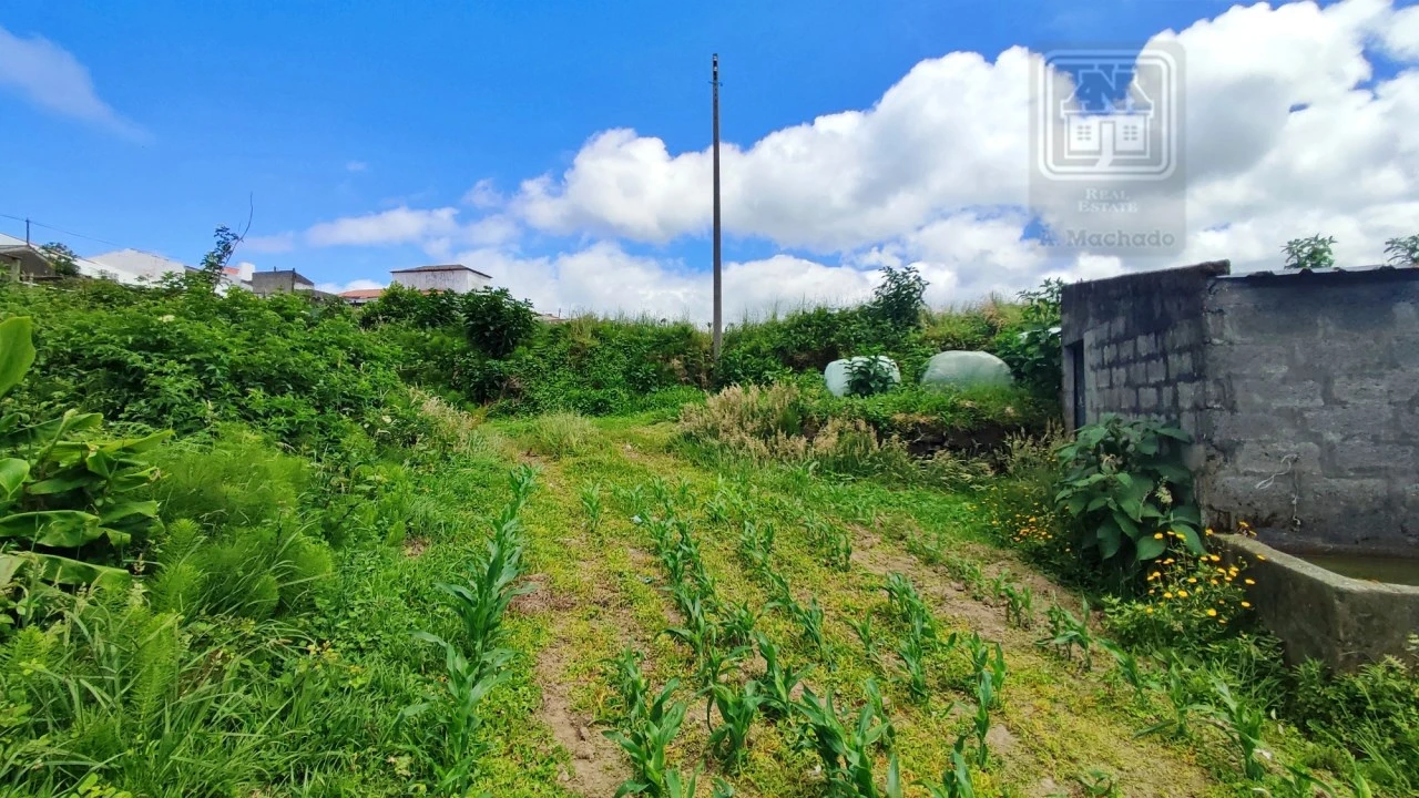 Terreno Agricola ou Rústico para Venda em Fenais da Ajuda Foto 9