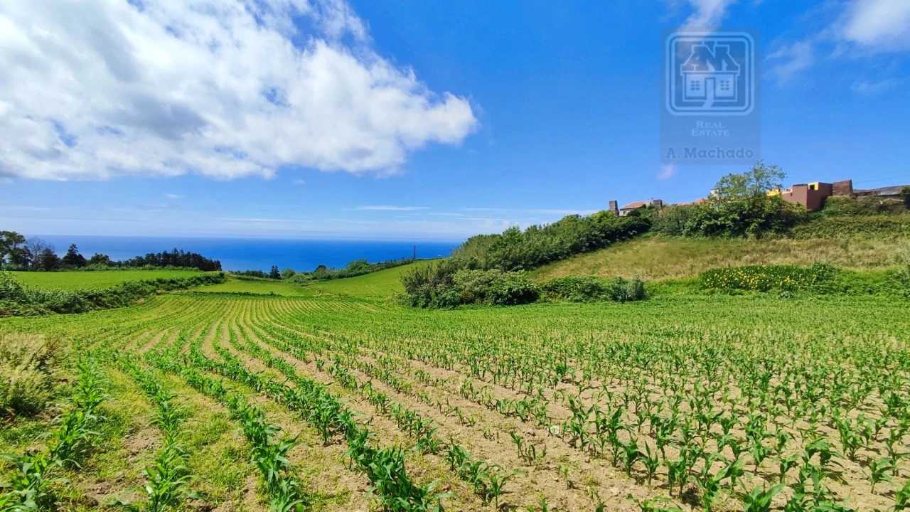 Terreno Agricola ou Rústico para Venda em Fenais da Ajuda Foto 19