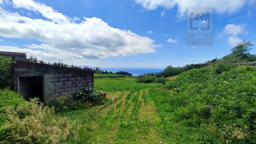 Terreno Agricola ou Rústico para Venda em Fenais da Ajuda Foto 8
