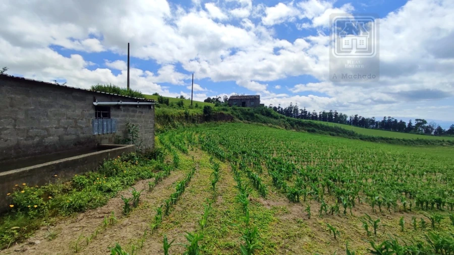 Terreno Agricola ou Rústico para Venda em Fenais da Ajuda Foto 11
