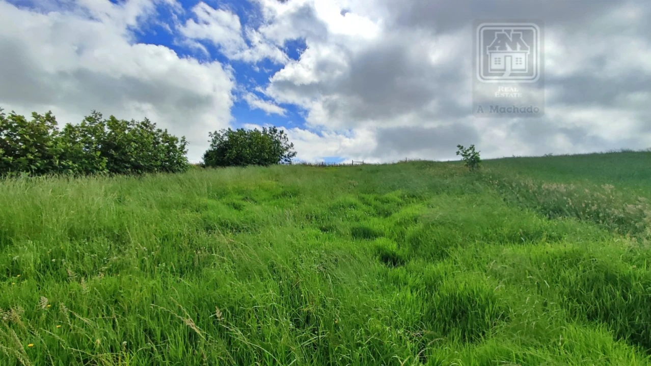 Terreno Agricola ou Rústico para Venda em Fenais da Ajuda Foto 12
