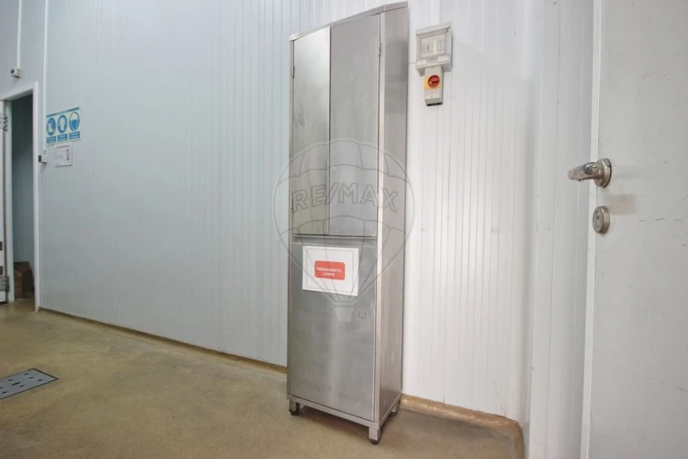 Armazém para Venda em Santa Maria e São Miguel, São Martinho, São Pedro Penaferrim Foto 29