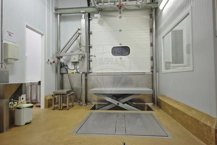 Armazém para Venda em Santa Maria e São Miguel, São Martinho, São Pedro Penaferrim Foto 24