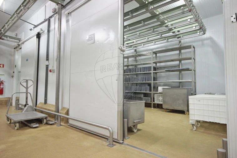 Armazém para Venda em Santa Maria e São Miguel, São Martinho, São Pedro Penaferrim Foto 3