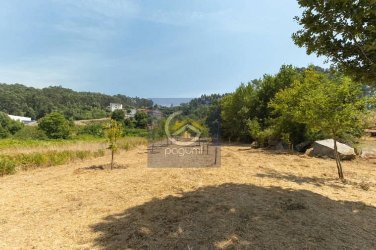 Terreno para Venda em Fonte Arcada Foto 3