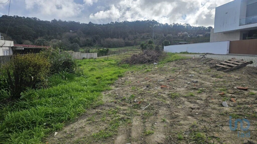 Terreno para Venda em Antas Foto 4