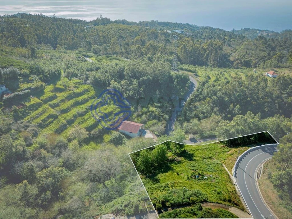 Terreno para Venda em Funchal (Santa Maria Maior) Foto 14
