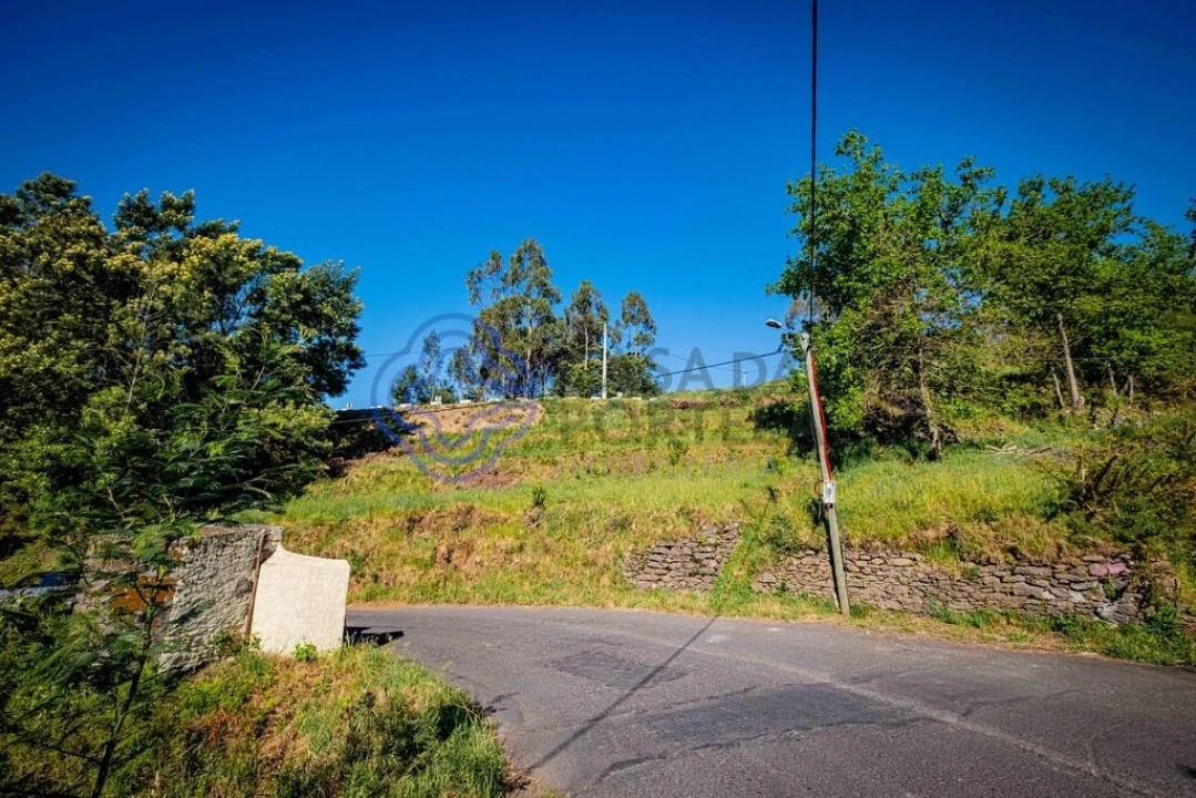 Terreno para Venda em Funchal (Santa Maria Maior) Foto 17