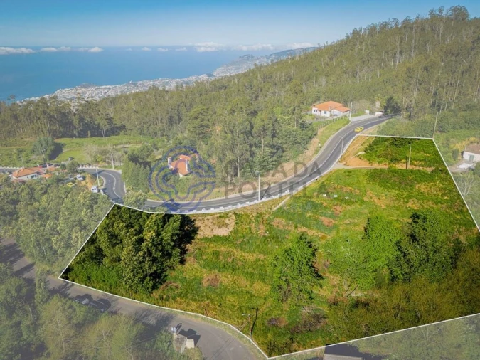 Terreno para Venda em Funchal (Santa Maria Maior) Foto 6