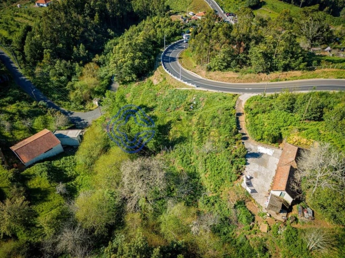 Terreno para Venda em Funchal (Santa Maria Maior) Foto 7