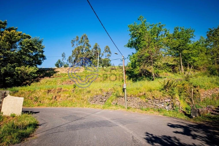 Terreno para Venda em Funchal (Santa Maria Maior) Foto 20