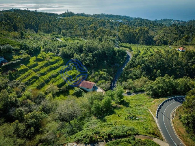 Terreno para Venda em Funchal (Santa Maria Maior) Foto 13