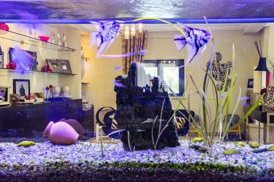 Moradia T5 para Venda em Palmela Foto 14