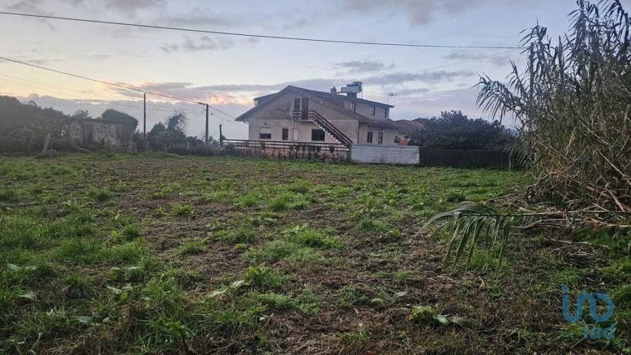 Terreno para Venda em Antas Foto 4