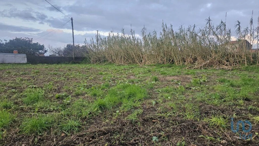 Terreno para Venda em Antas Foto 2