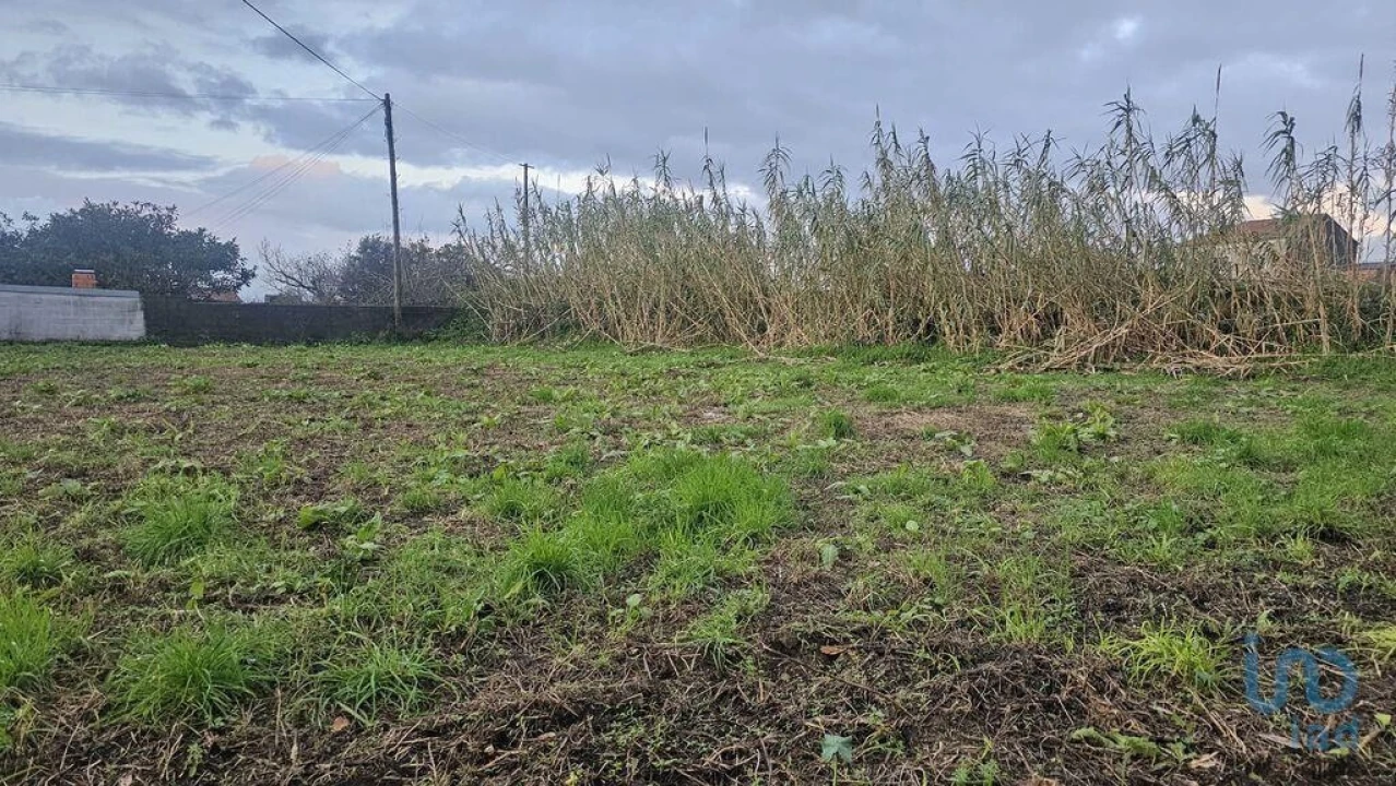 Terreno para Venda em Antas Foto 2