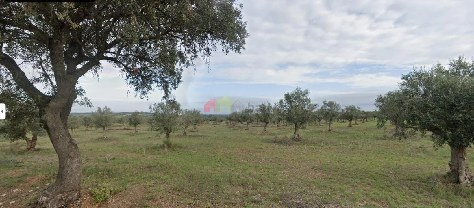 Terreno para Venda em Avis Foto 3