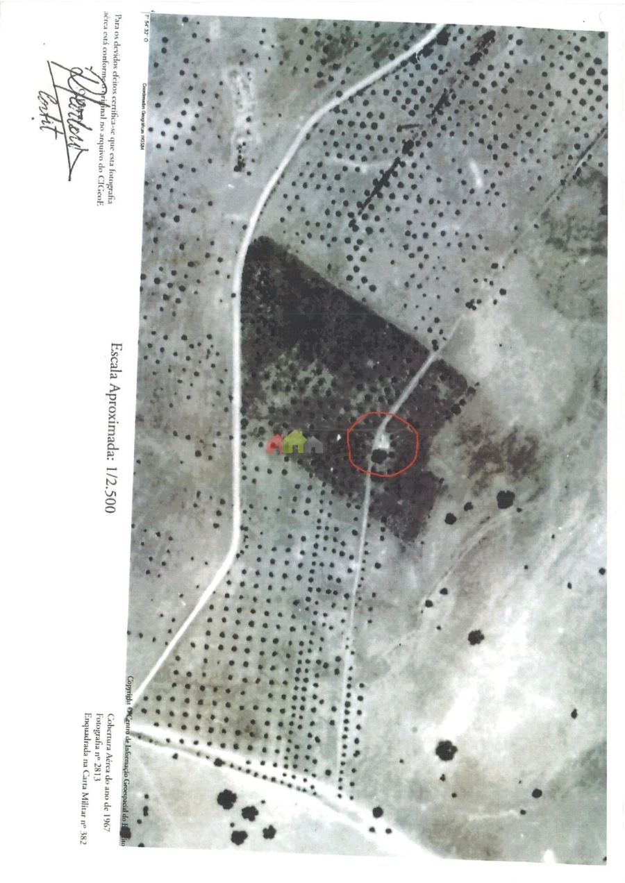 Terreno para Venda em Avis Foto 5