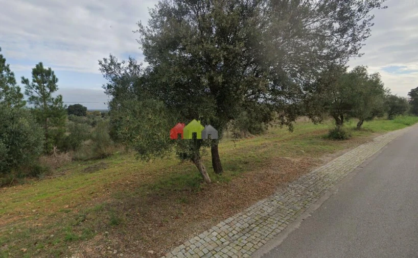 Terreno para Venda em Avis Foto 2