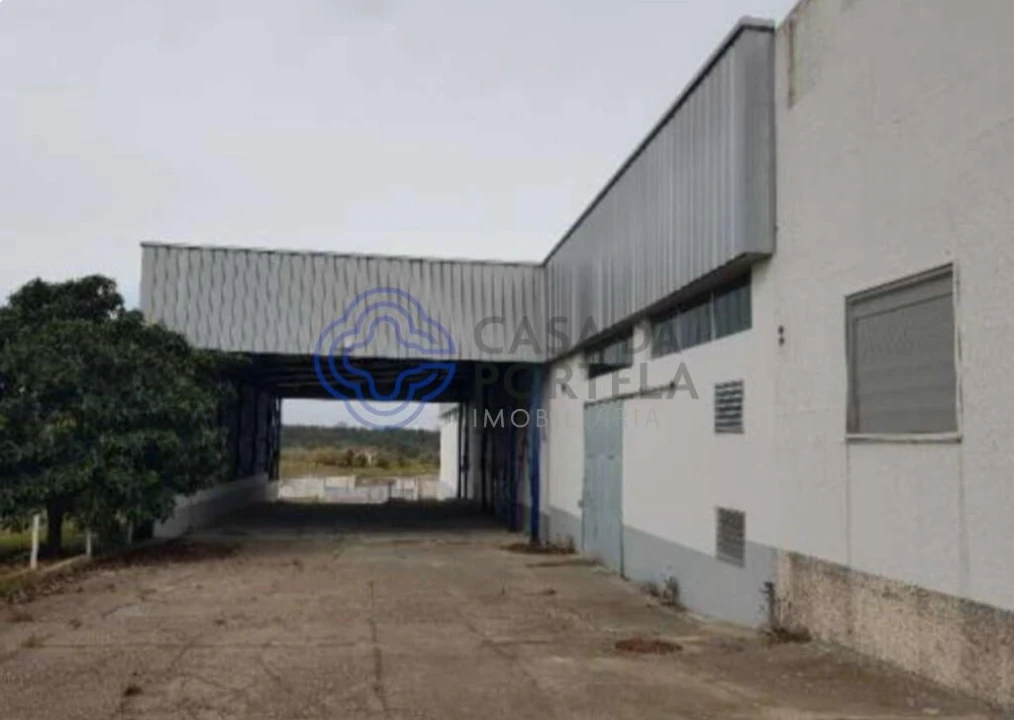 Armazém para Venda em Muge Foto 8
