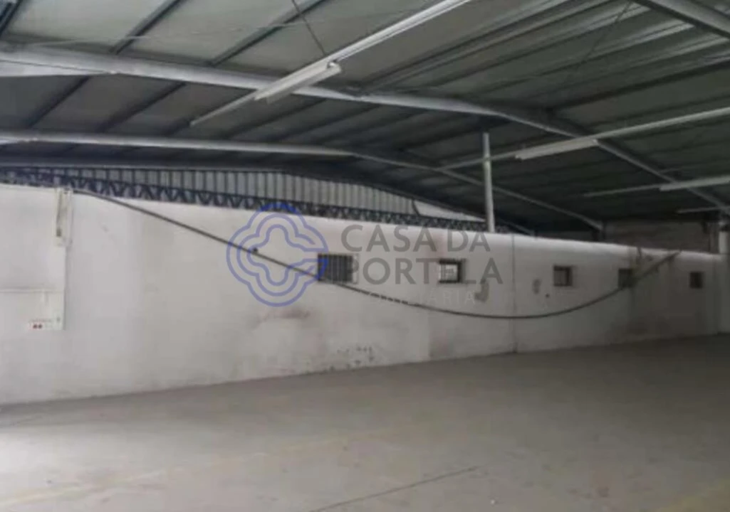 Armazém para Venda em Muge Foto 18