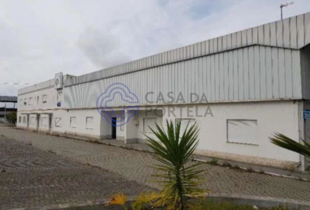 Armazém para Venda em Muge Foto 6