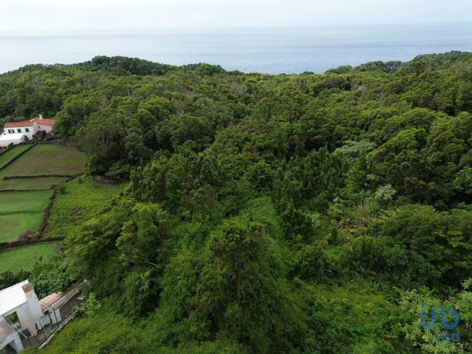 Moradia para Venda em Lajes do Pico Foto 3