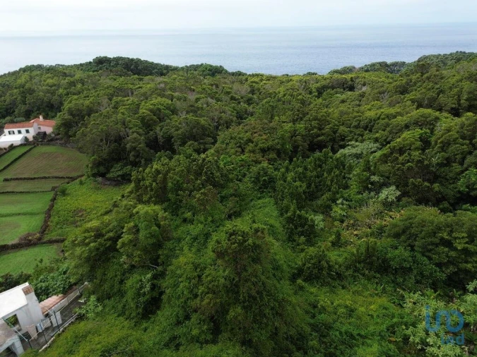 Moradia para Venda em Lajes do Pico Foto 3