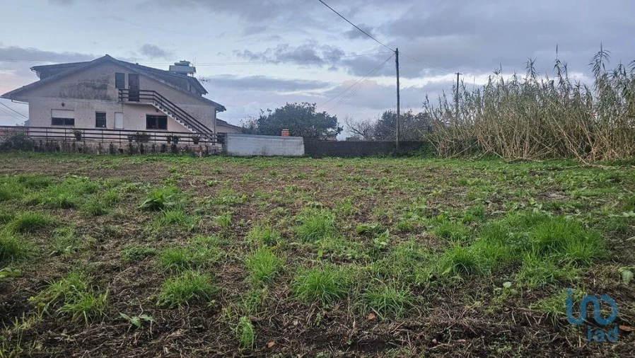 Terreno para Venda em Antas Foto 5
