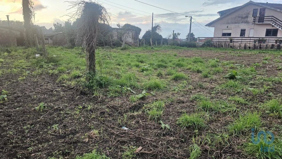 Terreno para Venda em Antas Foto 2