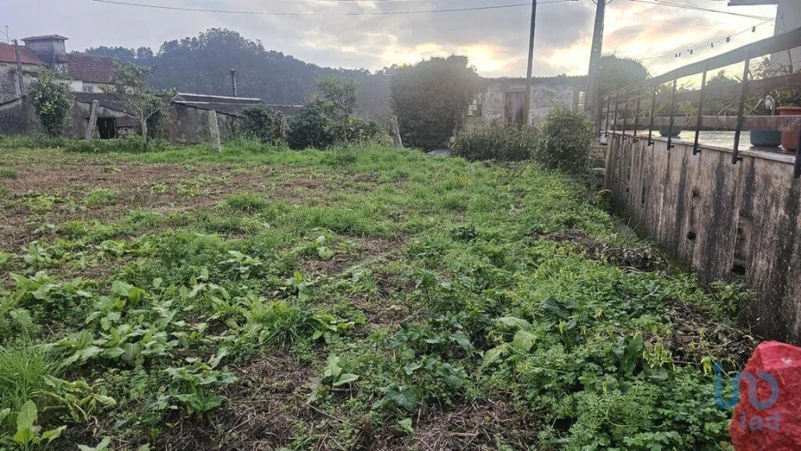 Terreno para Venda em Antas Foto 4