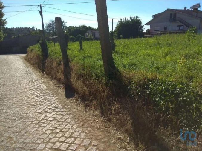 Terreno para Venda em Antas Foto 3