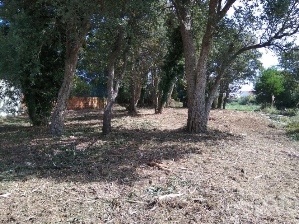 Terreno para Venda em São Felix da Marinha Foto 6