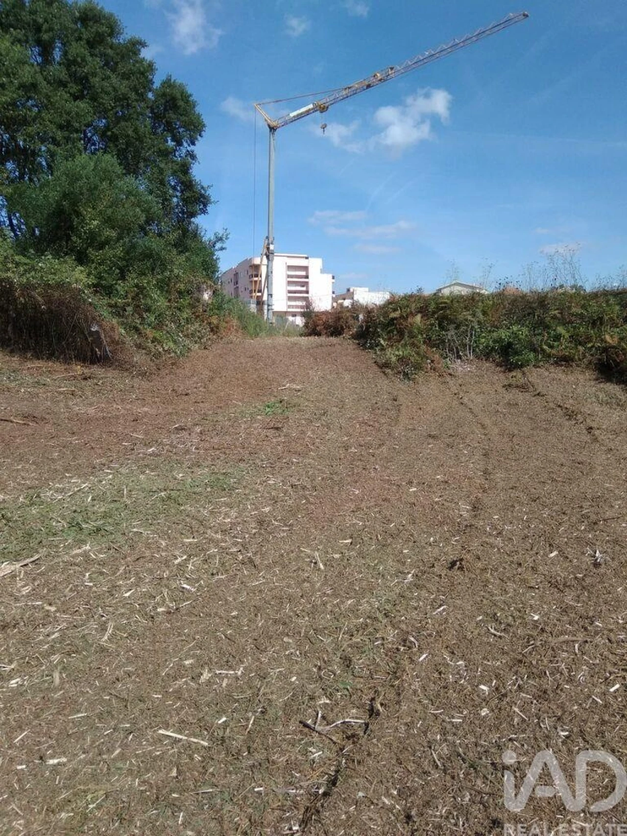 Terreno para Venda em São Felix da Marinha Foto 12