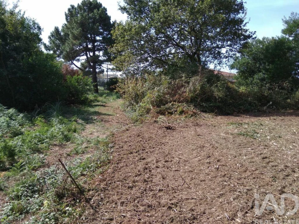 Terreno para Venda em São Felix da Marinha Foto 5