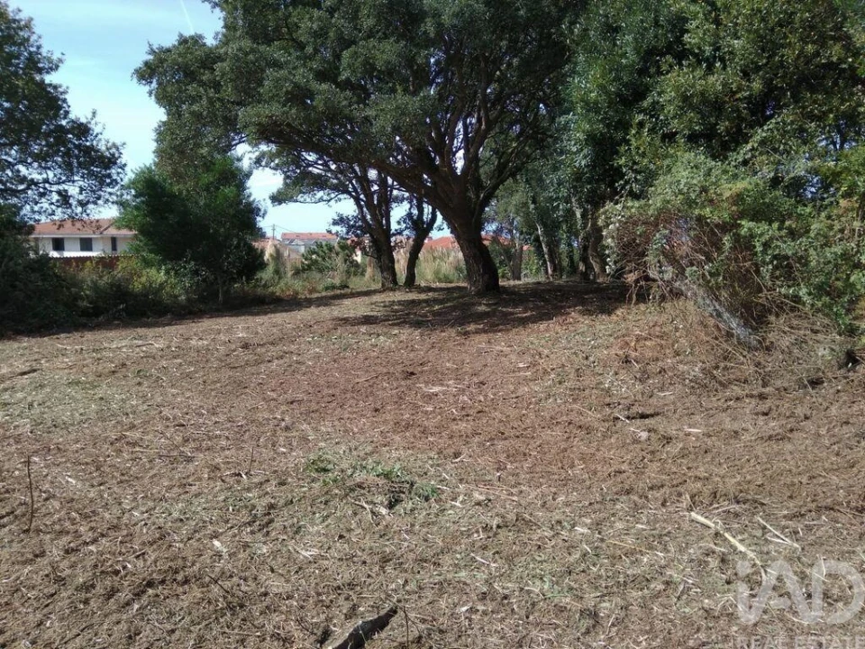 Terreno para Venda em São Felix da Marinha Foto 7