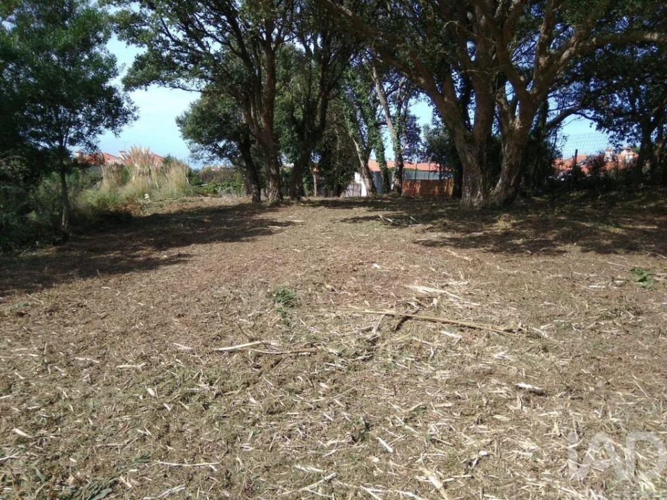 Terreno para Venda em São Felix da Marinha Foto 4