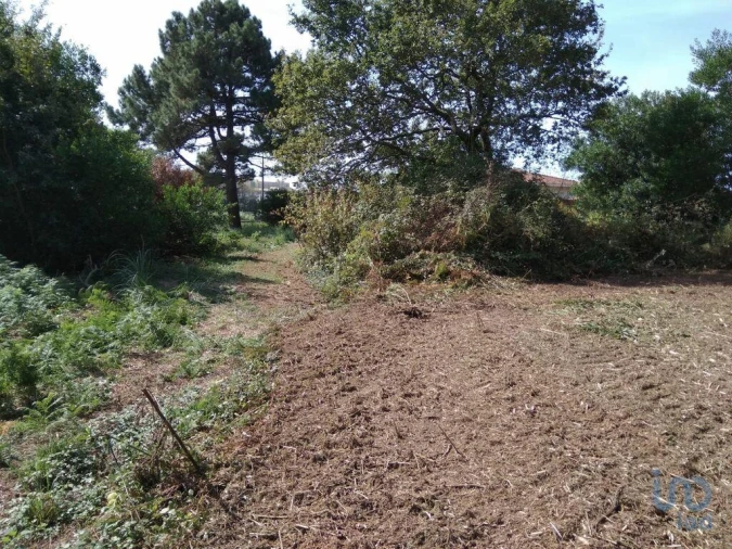 Terreno para Venda em São Felix da Marinha Foto 5