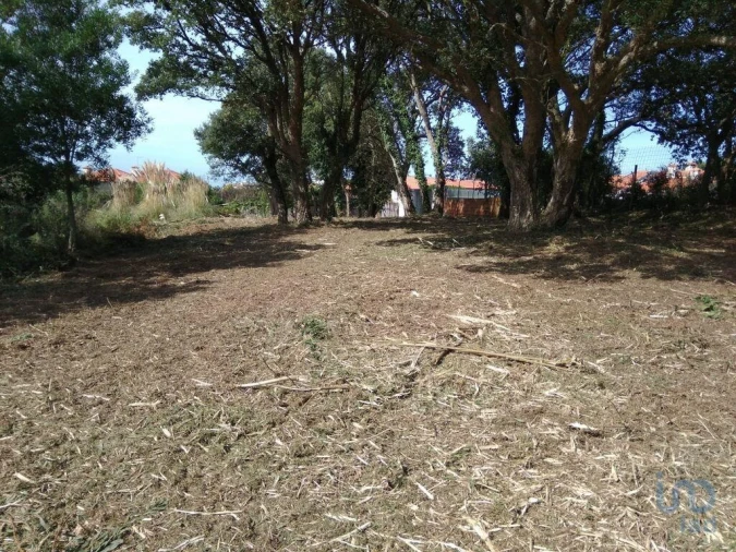Terreno para Venda em São Felix da Marinha Foto 4