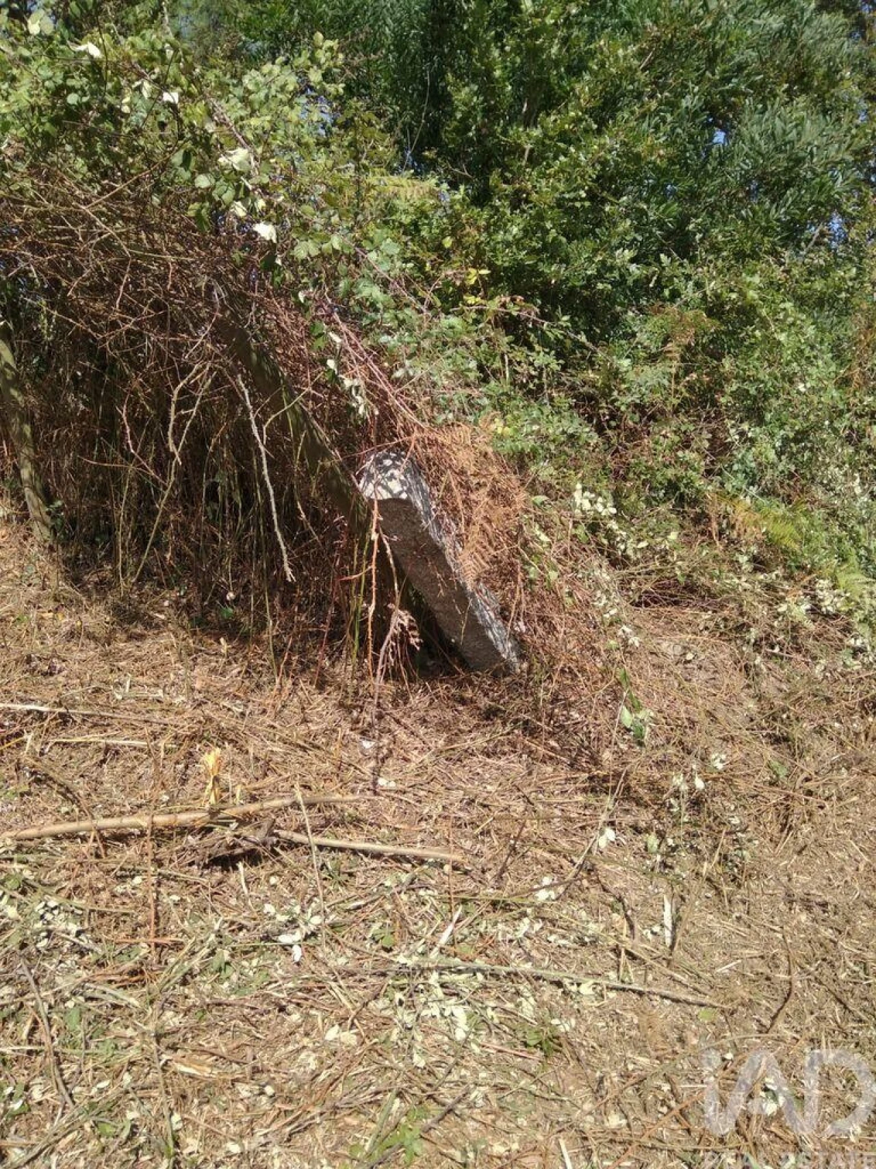 Terreno para Venda em São Felix da Marinha Foto 10