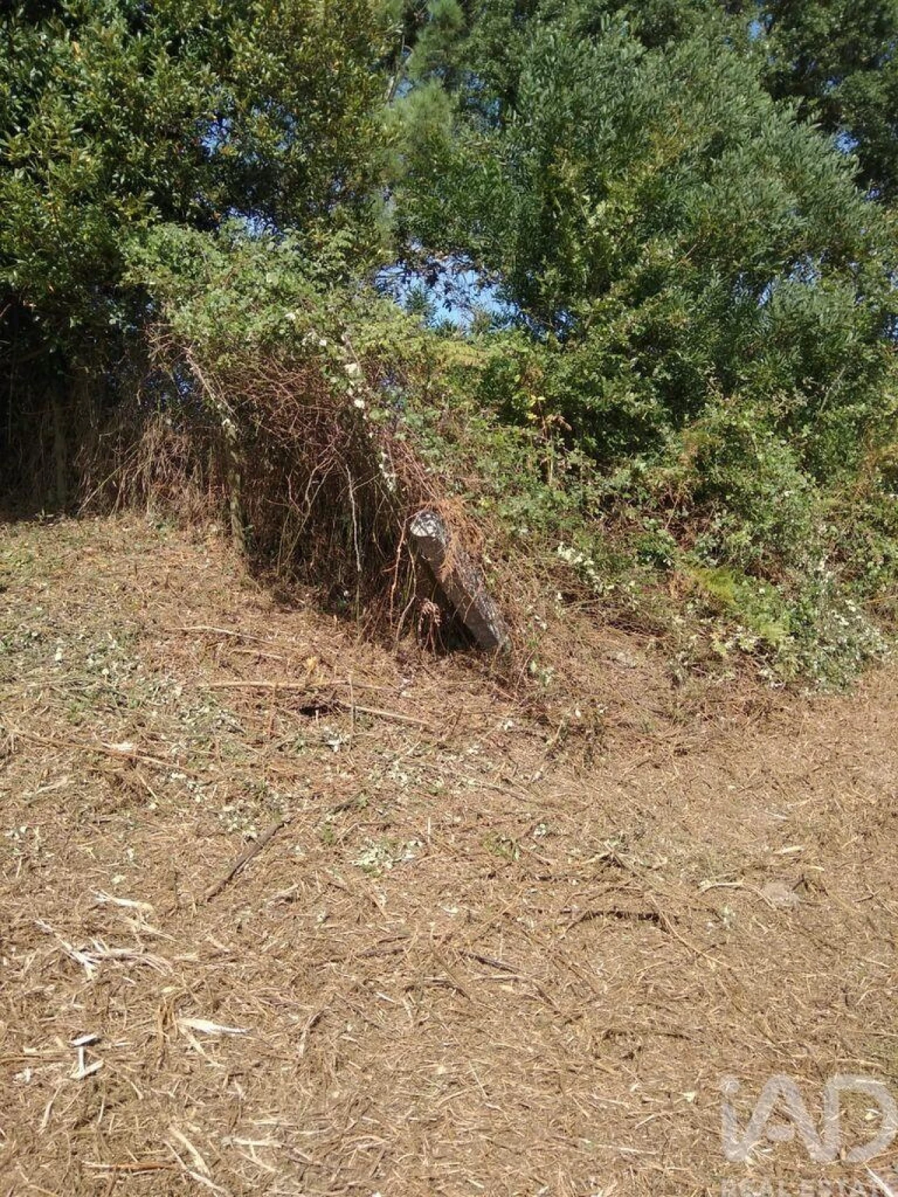 Terreno para Venda em São Felix da Marinha Foto 11