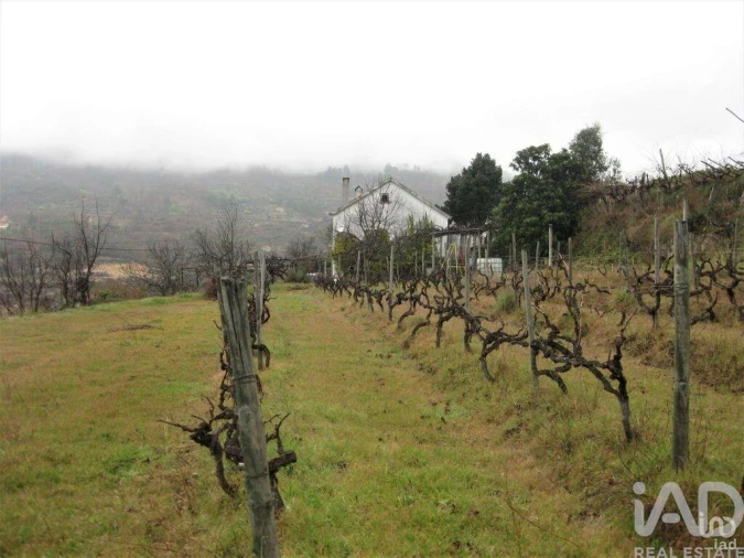 Moradia T2 para Venda em Famalicão Foto 29