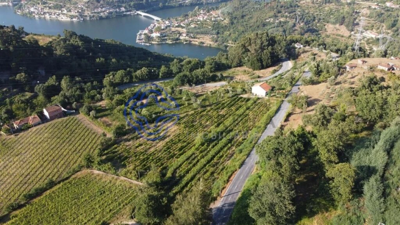 Quinta T3 para Venda em Cinfães Foto 6