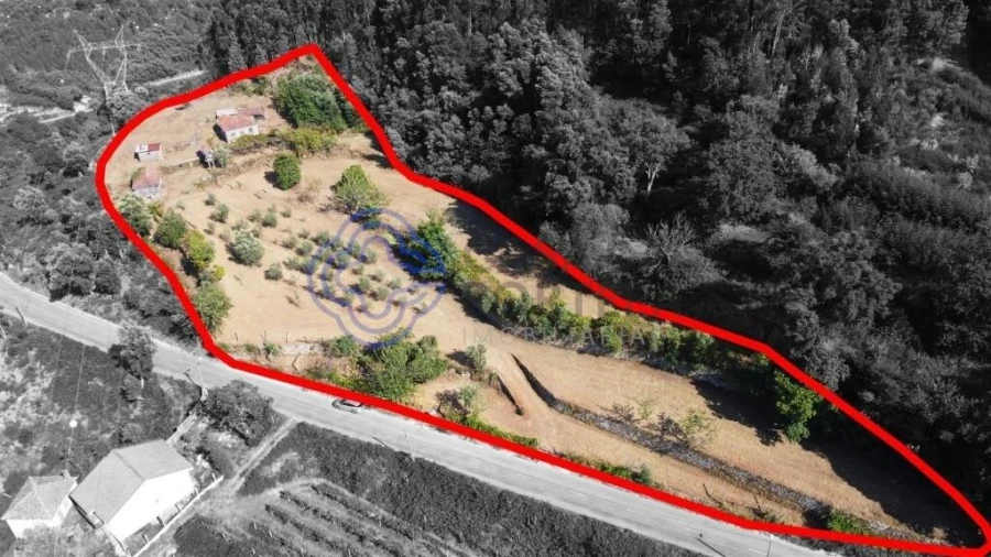 Quinta T3 para Venda em Cinfães