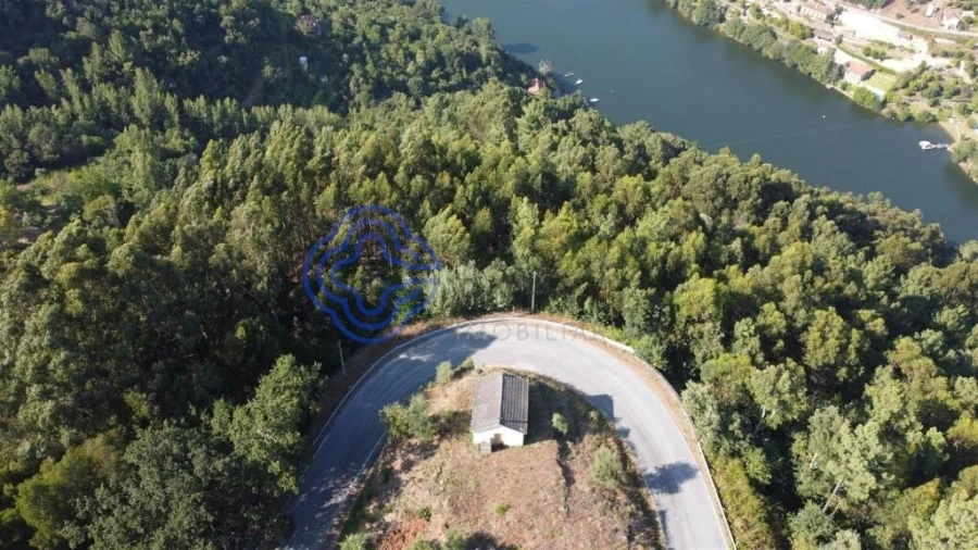 Quinta T3 para Venda em Cinfães Foto 17